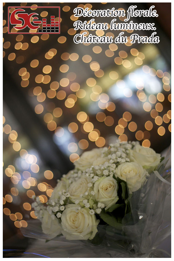 Mariage. Chateau du Prada