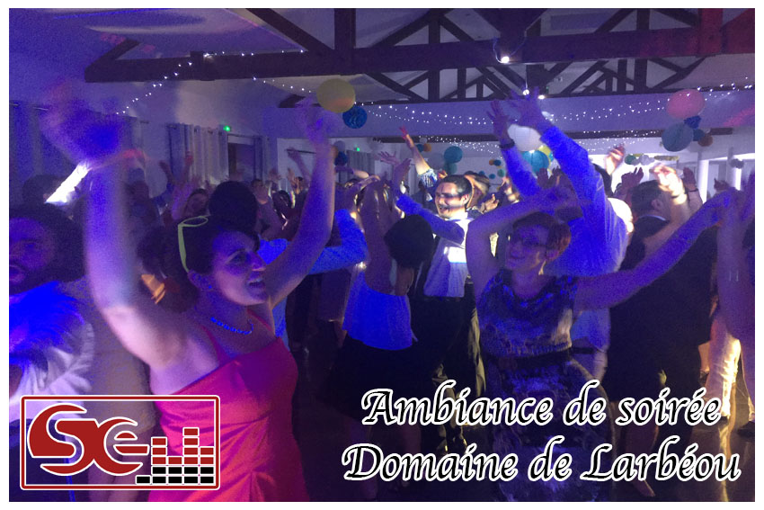 mariage. domaine de larbeou