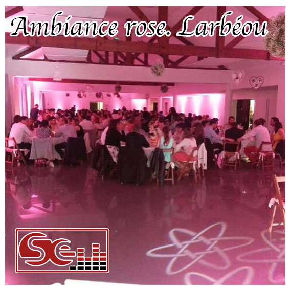 mariage. domaine de larbeou